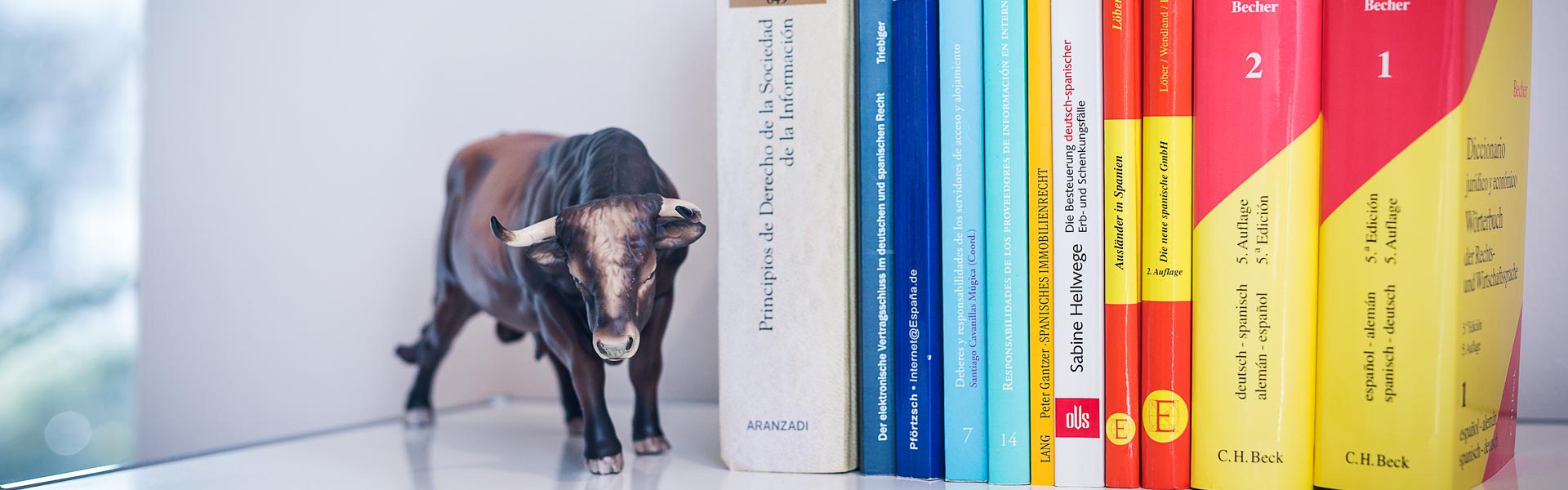 Rechtsanwalt in Coburg - Fachbücher